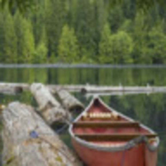 Meet your Posher, Jason - Picture 1 of 1